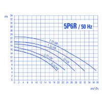 Sta-Rite Schwimmbadpumpe 5P6R 20m³  230V/0,75 KW
